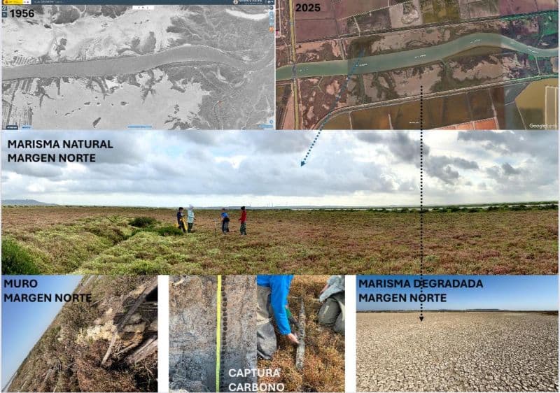 Google implementa captura de carbono em data center a gás