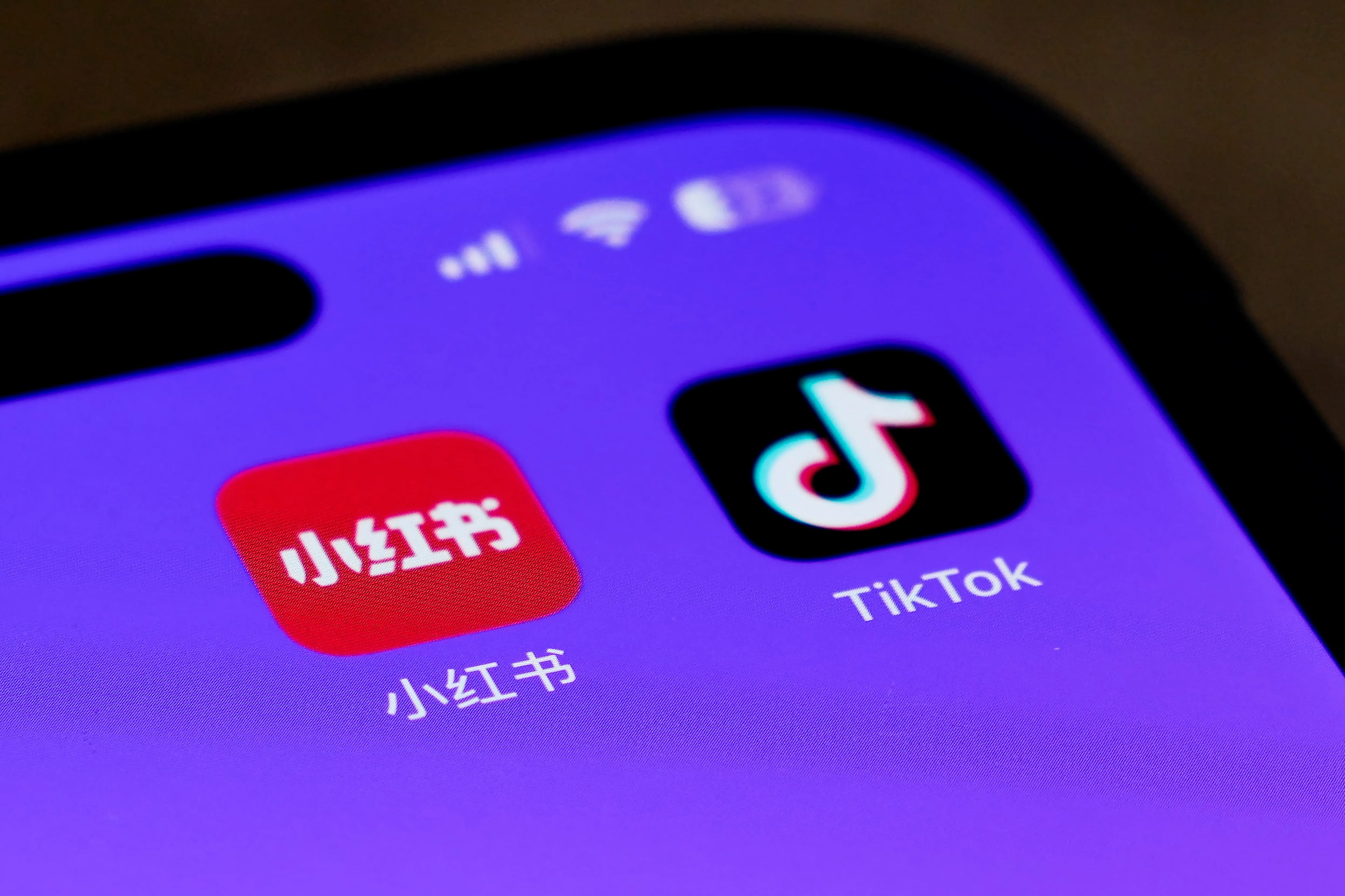 TikTok rastreia dados de usuários sem uso do aplicativo
